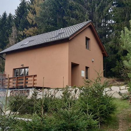 Chata Ostruzina 9 Lipno nad Vltavou Ngoại thất bức ảnh